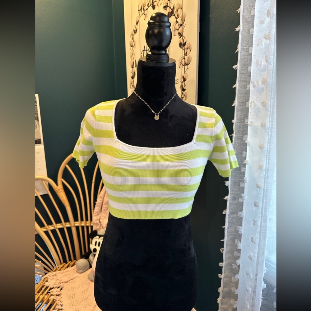 ZARA crop top